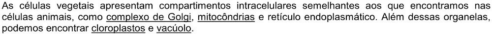 Trecho original com complexo de Golgi, mitocôndrias, cloroplastos e vacúolo sublinhados.