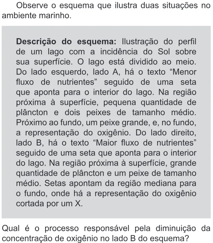Trecho original com figura, tabela ou fórmula da questão 99 do ENEM 2019 - 2º Dia – Caderno 11 – Laranja – Reaplicação/PPL.