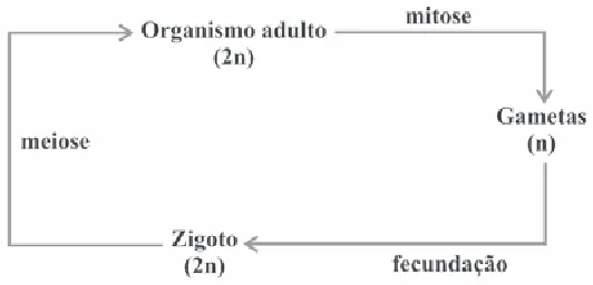 Alternativa D da questão 22 do ENEM 2009 - 1º Dia - Caderno 4 - Rosa.