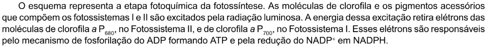 Trecho original com figura, tabela ou fórmula da questão 125 do ENEM 2023 - 2º Dia – Caderno 6 – Cinza – Reaplicação/PPL.