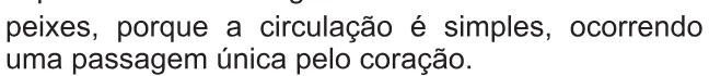 Alternativa D da questão 132 do ENEM 2021 - 2º Dia – Caderno 11 – Laranja (braile e ledor) – Aplicação Regular.