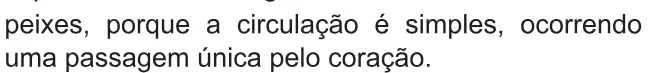 Alternativa D da questão 100 do ENEM 2021 - 2º Dia – Caderno 6 – Cinza – Aplicação Regular.