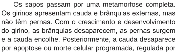 Trecho original com figura, tabela ou fórmula da questão 133 do ENEM 2017 - 2º Dia - Caderno 6 - Cinza – Reaplicação/PPL.