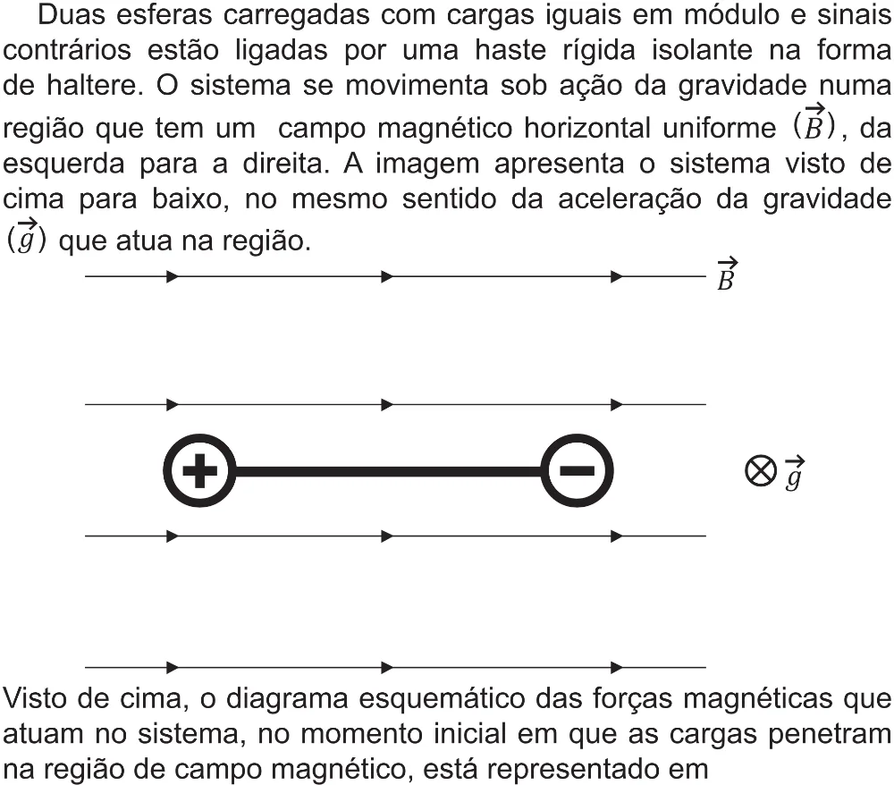 Trecho original com figura, tabela ou fórmula da questão 121 do ENEM 2021 - 2º Dia – Caderno 12 – Verde (Libras – Superampliada) – Aplicação Regular.