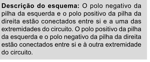 Alternativa D da questão 99 do ENEM 2023 - 2º Dia – Caderno 11 – Laranja (braile e ledor) – Reaplicação/PPL.