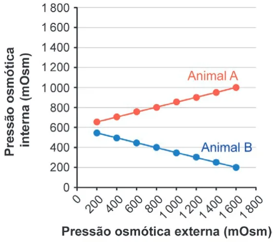 Alternativa E da questão 135 do ENEM 2024 - 2º Dia – Caderno 6 – Cinza – Reaplicação/PPL.