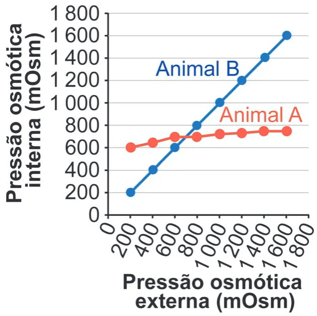 Gráfico da alternativa B da questão 105 do ENEM 2024.