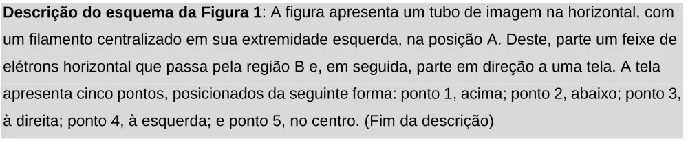 Trecho original com figura, tabela ou fórmula da questão 109 do ENEM 2025 - 2º Dia – Caderno 11 – Laranja (Braile e ledor) – Aplicação Regular - Leitor de tela (NVDA).