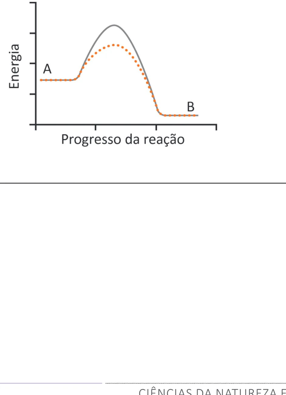 Alternativa C da questão 133 do ENEM 2025 - 2º Dia – Caderno 12 – Roxo (Libras) – Aplicação Regular - (Ampliada).