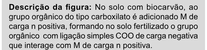 Trecho original com figura, tabela ou fórmula da questão 104 do ENEM 2023 - 2º Dia – Caderno 11 – Laranja (braile e ledor) – Aplicação Regular.