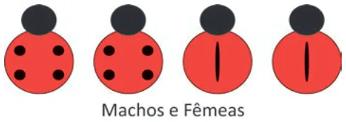 Alternativa D da questão 101 do ENEM 2025 - 2º Dia – Caderno 11 – Laranja (Braile e ledor) – Aplicação Regular - (Atendimento Especializado).