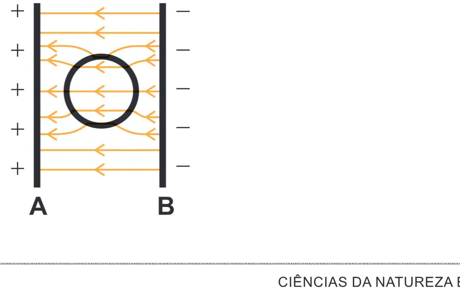 Alternativa C da questão 128 do ENEM 2024 - 2º Dia – Caderno 8 – Verde – Aplicação Regular - (Ampliada).
