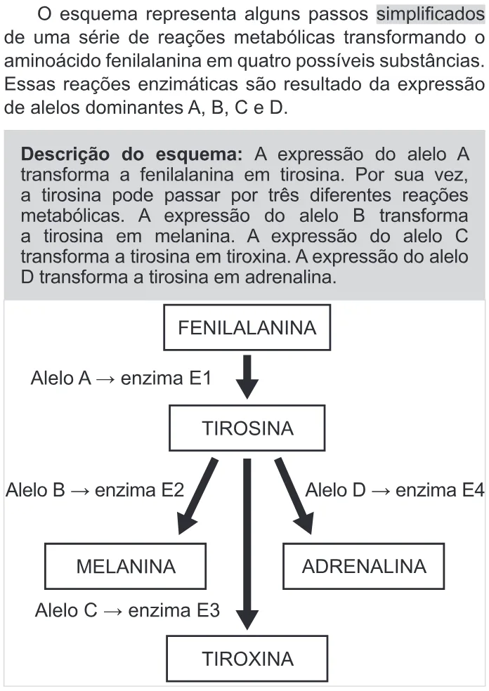 Trecho original com figura, tabela ou fórmula da questão 91 do ENEM 2022 - 2º Dia – Caderno 11 – Laranja (braile e ledor) – Reaplicação/PPL.