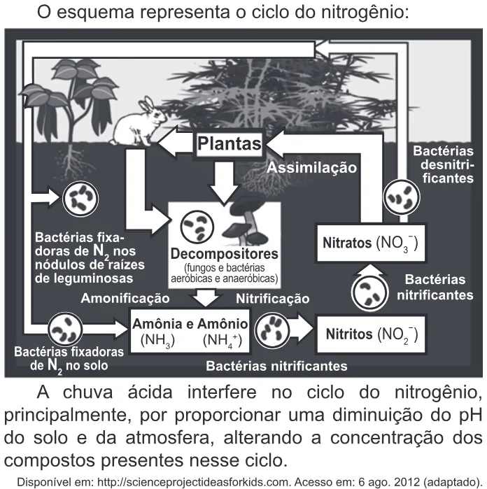 Trecho original com figura, tabela ou fórmula da questão 99 do ENEM 2022 - 2º Dia – Caderno 6 – Cinza – Aplicação Regular.