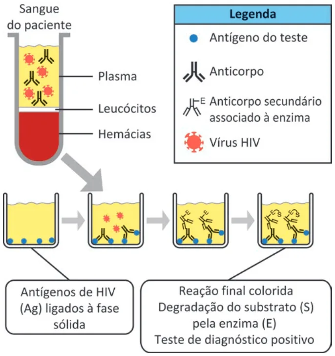 Trecho original com figura, tabela ou fórmula da questão 116 do ENEM 2025 - 2º Dia – Caderno 6 – Cinza – Reaplicação.