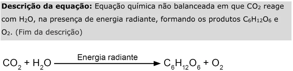 Trecho original com figura, tabela ou fórmula da questão 113 do ENEM 2023 - 2º Dia – Caderno 11 – Laranja (braile e ledor) – Aplicação Regular - Caderno 11 – Laranja – Leitor de tela (NVDA) - Ciências da Natureza e suas Tecnologias.