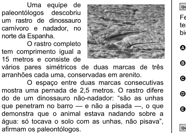 Trecho original com figura, tabela ou fórmula da questão 52 do ENEM 2007 - Caderno Amarelo.