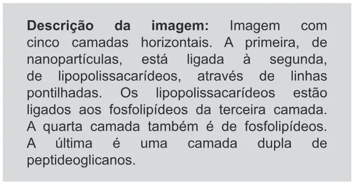 Trecho original com figura, tabela ou fórmula da questão 93 do ENEM 2019 - 2º Dia – Caderno 11 – Laranja – Reaplicação/PPL.