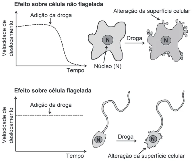 Trecho original com figura, tabela ou fórmula da questão 109 do ENEM 2019 - 2º Dia – Caderno 6 – Cinza – Reaplicação/PPL.