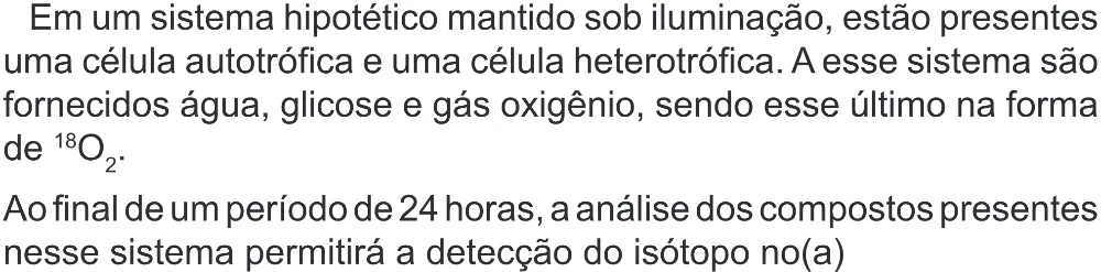 Trecho original com figura, tabela ou fórmula da questão 111 do ENEM 2022 - 2º Dia – Caderno 6 – Cinza (Superampliada) – Reaplicação/PPL.