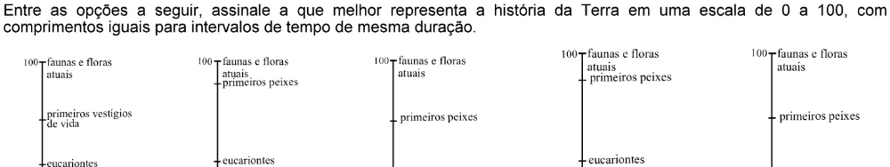 Trecho original com figura, tabela ou fórmula da questão 10 do ENEM 2006 - Caderno Amarelo.
