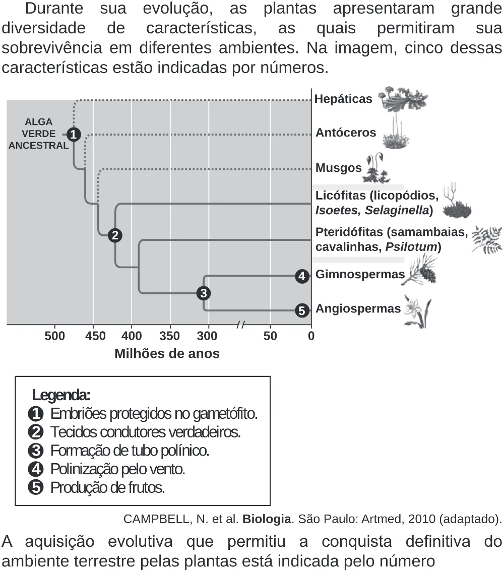 Trecho original com figura, tabela ou fórmula da questão 99 do ENEM 2019 - 2º Dia – Caderno 6 – Cinza (Superampliada) – Aplicação Regular.