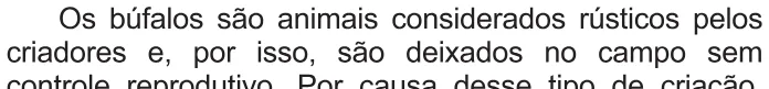 Trecho original com figura, tabela ou fórmula da questão 132 do ENEM 2021 - 2º Dia – Caderno 6 – Cinza – Aplicação Regular.