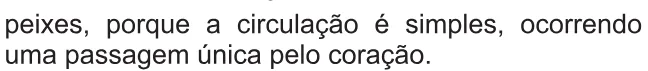 Alternativa D da questão 132 do ENEM 2021 - 2º Dia – Caderno 12 – Verde (Libras) – Aplicação Regular.