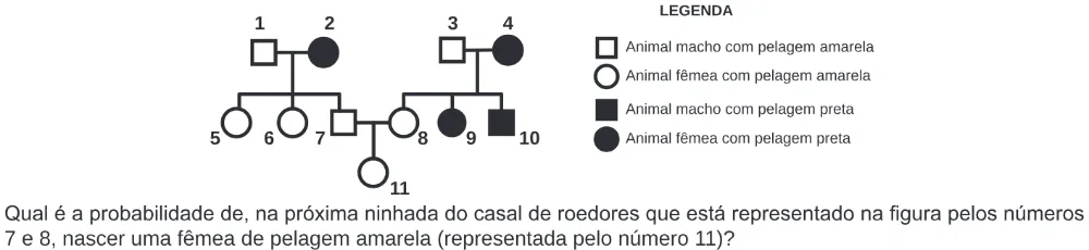 Trecho original com figura, tabela ou fórmula da questão 92 do ENEM 2020 - 2º Dia – Caderno 5 – Amarelo – Reaplicação/PPL.