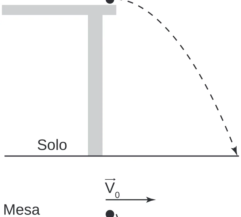 Alternativa D da questão 102 do ENEM 2020 - 2º Dia - Caderno 8 – Rosa (Superampliada) – Aplicação Regular.