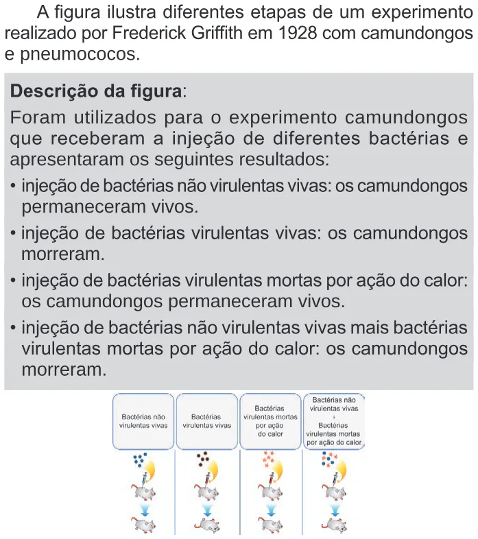 Trecho original com figura, tabela ou fórmula da questão 127 do ENEM 2024 - 2º Dia – Caderno 11 – Laranja (braile e ledor) – Reaplicação/PPL.