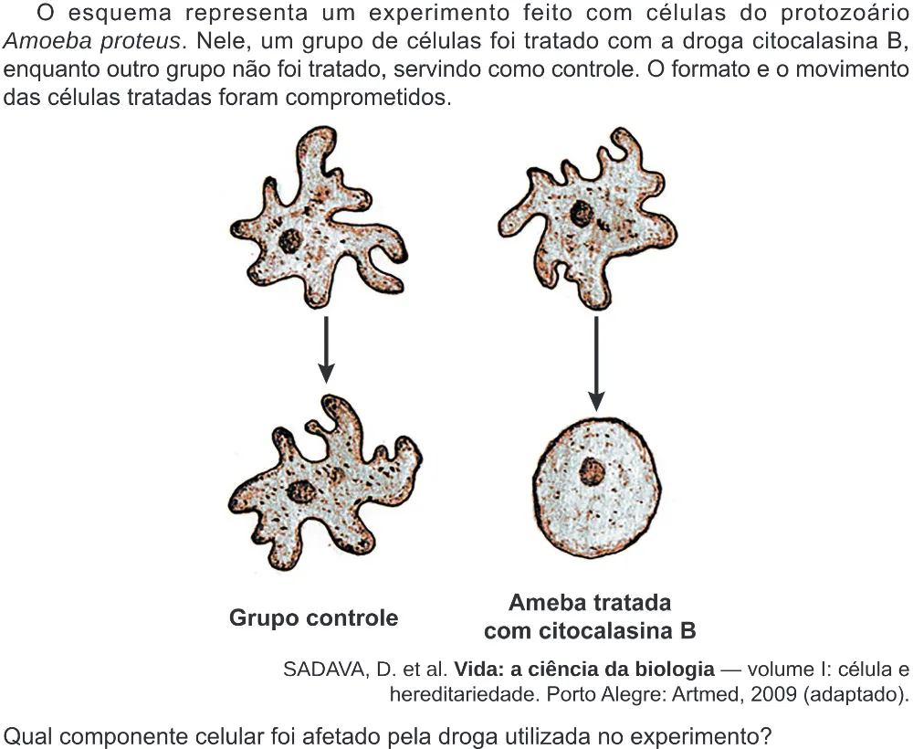 Trecho original com figura, tabela ou fórmula da questão 132 do ENEM 2024 - 2º Dia – Caderno 8 – Verde – Aplicação Regular - (Ampliada).