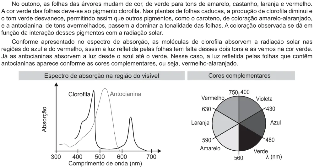 Trecho original com figura, tabela ou fórmula da questão 115 do ENEM 2021 - 2º Dia – Caderno 5 – Amarelo – Aplicação Regular.