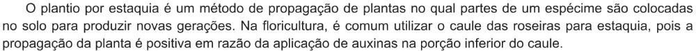 Trecho original com figura, tabela ou fórmula da questão 125 do ENEM 2021 - 2º Dia – Caderno 6 – Cinza – Aplicação Regular.