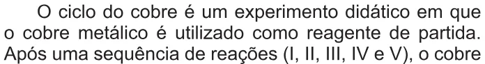 Trecho original com figura, tabela ou fórmula da questão 113 do ENEM 2021 - 2º Dia – Caderno 7 – Azul – Aplicação Regular.