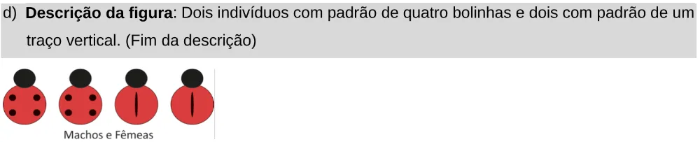 Alternativa D da questão 101 do ENEM 2025 - 2º Dia – Caderno 11 – Laranja (Braile e ledor) – Aplicação Regular - Leitor de tela (NVDA).