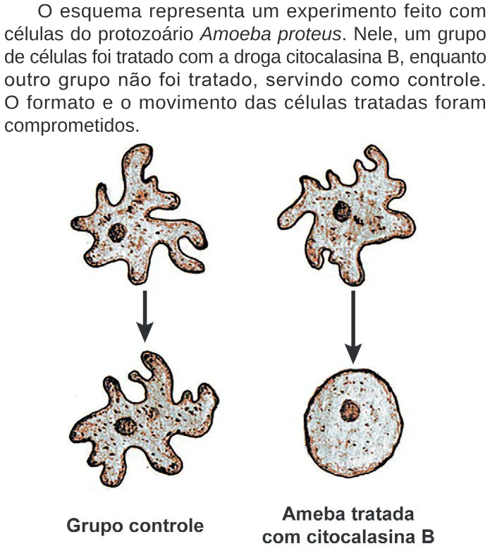 Trecho original com figura, tabela ou fórmula da questão 91 do ENEM 2024 - 2º Dia – Caderno 5 – Amarelo – Aplicação Regular.