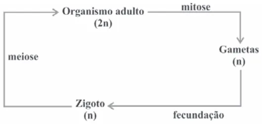 Alternativa B da questão 21 do ENEM 2009 - 1º Dia - Caderno 1 - Azul.