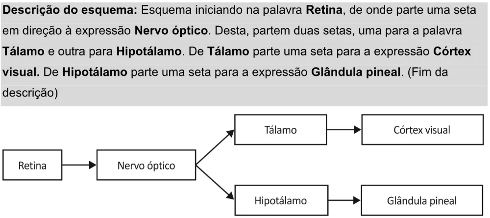 Trecho original com figura, tabela ou fórmula da questão 124 do ENEM 2025 - 2º Dia – Caderno 11 – Laranja (Braile e ledor) – Aplicação Regular - Leitor de tela (NVDA) - Belém, Ananindeua e Marituba.