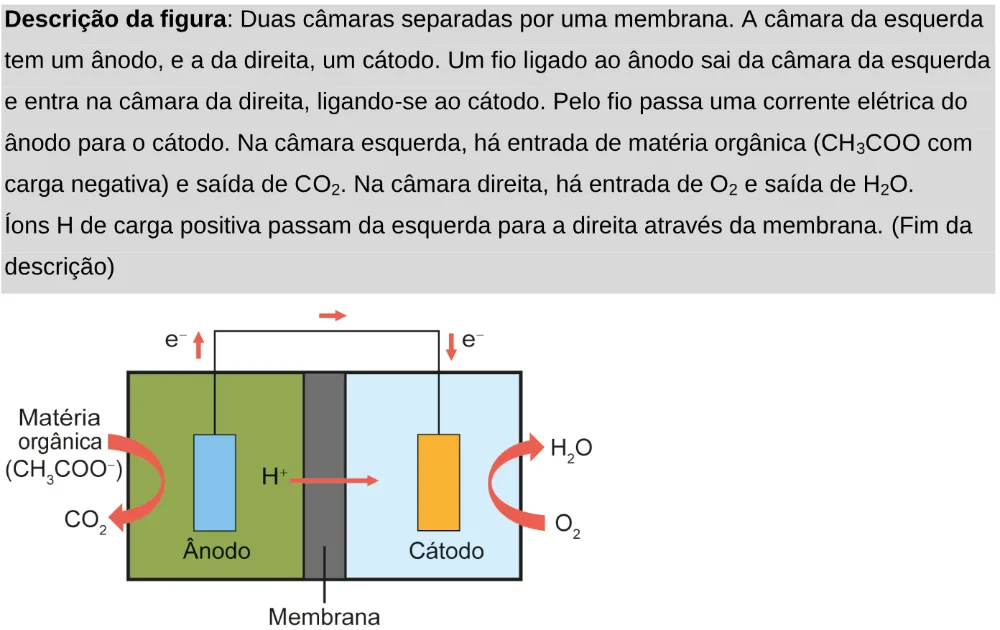 Trecho original com figura, tabela ou fórmula da questão 106 do ENEM 2024 - 2º Dia – Caderno 11 – Laranja (braile e ledor) – Aplicação Regular - Leitor de tela (NVDA).
