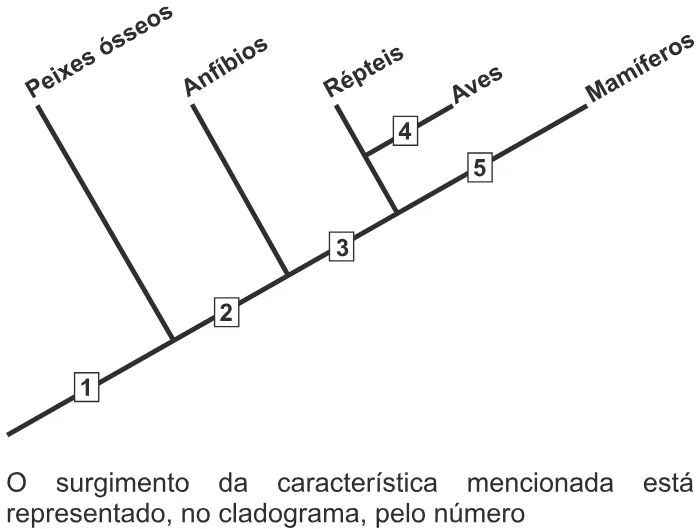 Trecho original com figura, tabela ou fórmula da questão 48 do ENEM 2015 - 1º Dia - Caderno 9 - Branco – Reaplicação/PPL.
