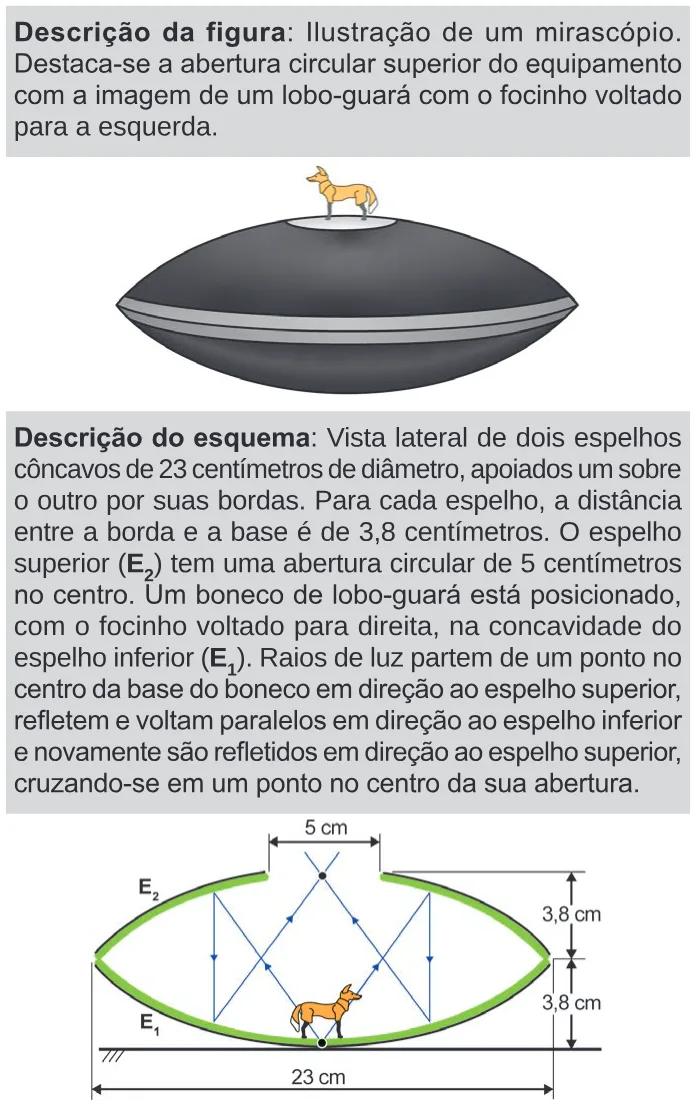 Trecho original com figura, tabela ou fórmula da questão 110 do ENEM 2024 - 2º Dia – Caderno 11 – Laranja (braile e ledor) – Aplicação Regular.
