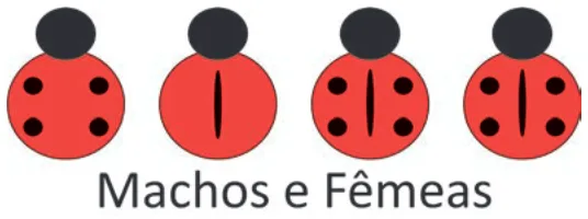 Alternativa E da questão 101 do ENEM 2025 - 2º Dia – Caderno 12 – Roxo (Libras) – Aplicação Regular - (Ampliada).