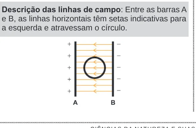 Alternativa B da questão 128 do ENEM 2024 - 2º Dia – Caderno 11 – Laranja (braile e ledor) – Aplicação Regular.