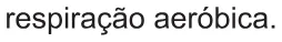 Alternativa D da questão 110 do ENEM 2021 - 2º Dia – Caderno 8 – Rosa – Aplicação Regular.