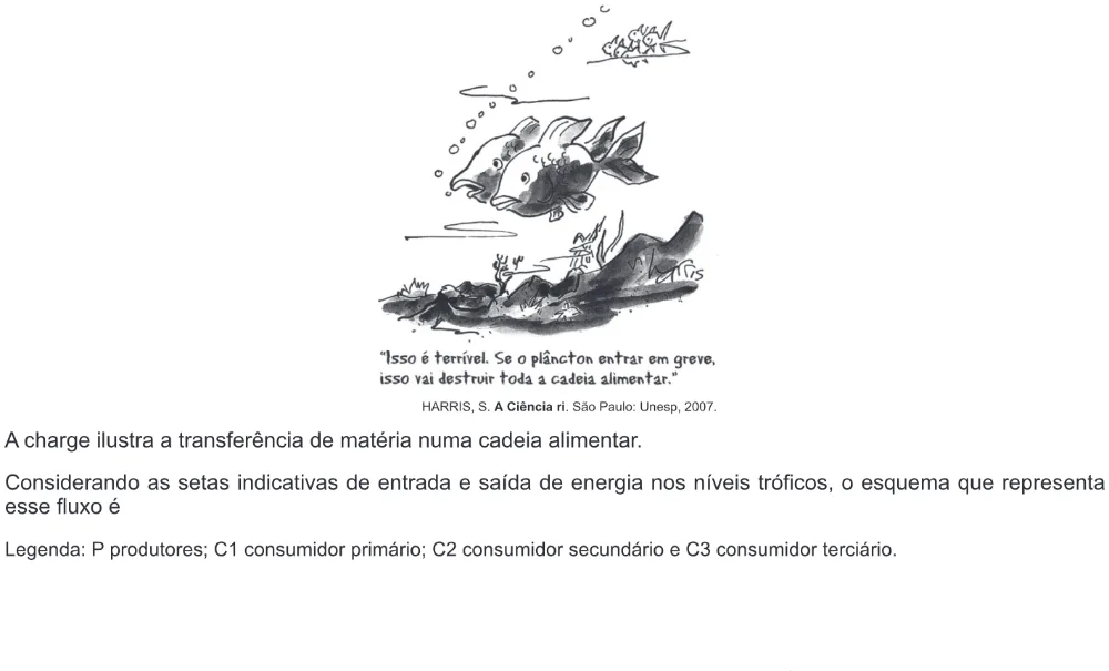 Trecho original com figura, tabela ou fórmula da questão 90 do ENEM 2011 - 1º Dia - Caderno 3 - Branco – Reaplicação/PPL.