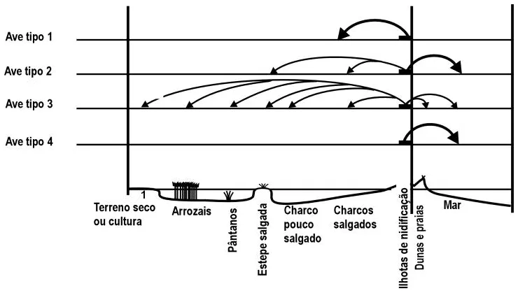Trecho original com figura, tabela ou fórmula da questão 36 do ENEM 2000 - Caderno Amarelo.
