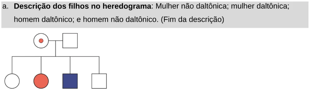 Alternativa A da questão 93 do ENEM 2024 - 2º Dia – Caderno 11 – Laranja (braile e ledor) – Aplicação Regular - Leitor de tela (NVDA).