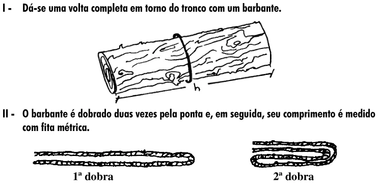 Trecho original com figura, tabela ou fórmula da questão 9 do ENEM 2001 - Caderno Amarelo.