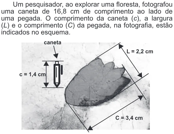 Trecho original com figura, tabela ou fórmula da questão 136 do ENEM 2015 - 2º Dia - Caderno 8 - Rosa – Aplicação regular.
